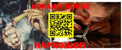 индика Кингисепп