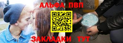 индика Кингисепп
