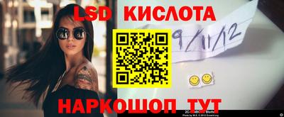 индика Кингисепп