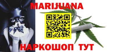 индика Кингисепп
