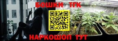 индика Кингисепп