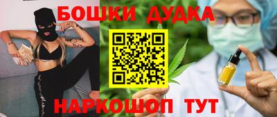 индика Кингисепп