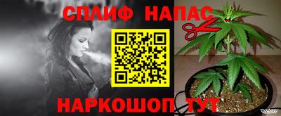 гидра Кинель