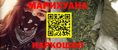 индика Кингисепп