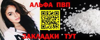 индика Кингисепп