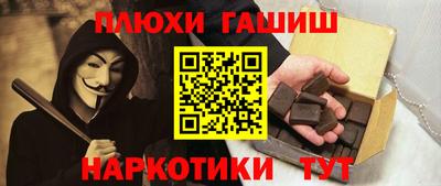 индика Кингисепп