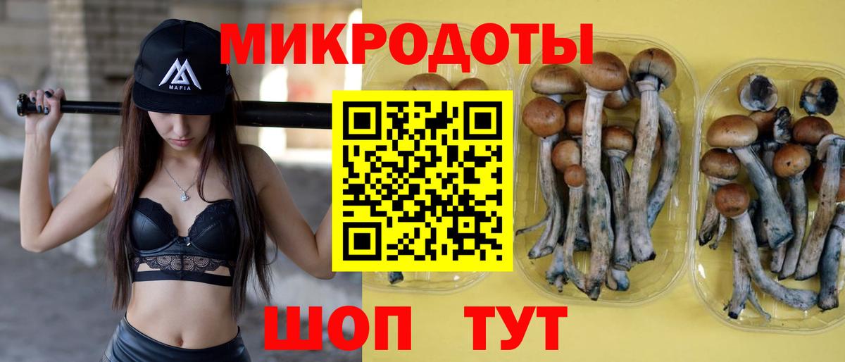 Кохма  Галлюциногенные грибы GOLDEN TEACHER  Вход с VPN 